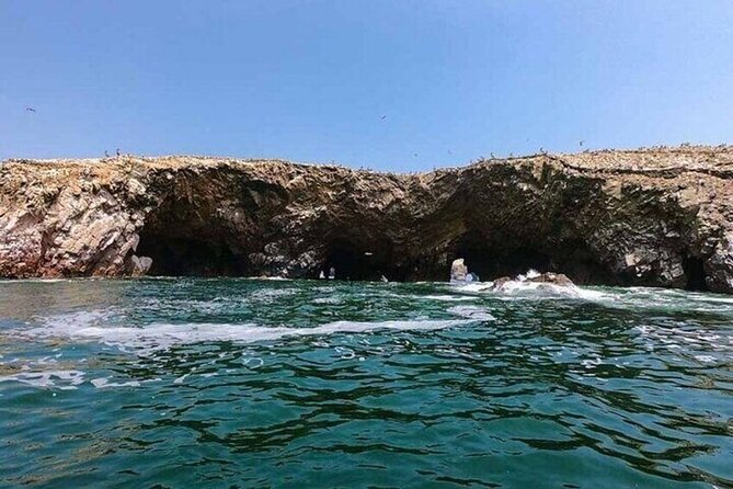 1 day tour to Ballestas Islands and Paracas National Reserve - The one-hour pause before the reserve