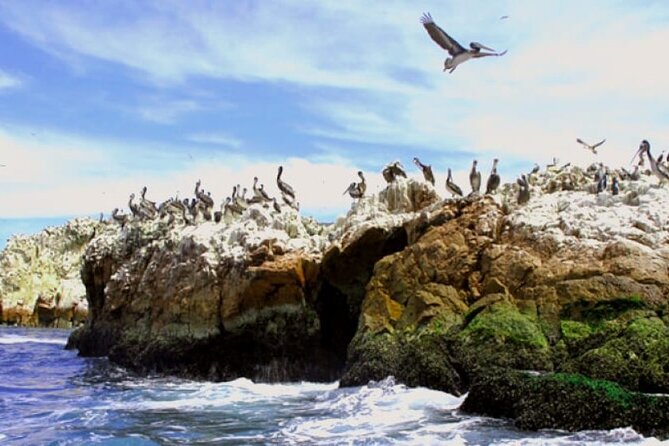 1 day tour to Ballestas Islands and Paracas National Reserve - Thirty minutes at Playa La Mina