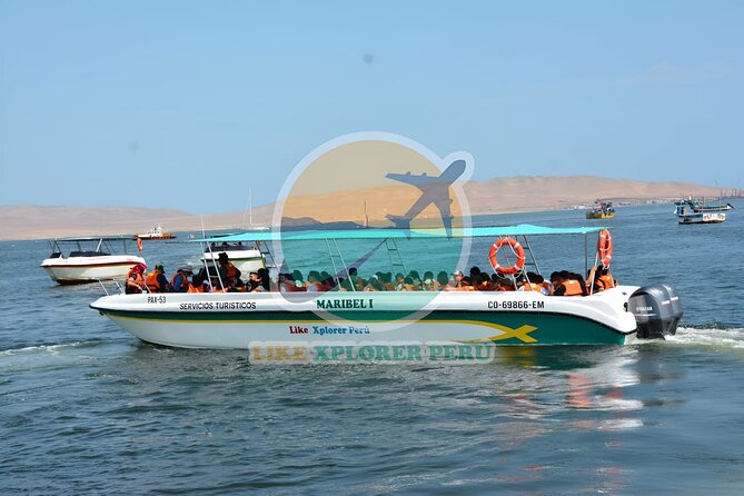 1 day tour to Ballestas Islands and Paracas National Reserve - The morning boat ride and the Paracas Candelabra