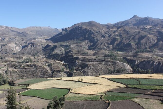 10-Day Discover Peru: Lima, Arequipa, Puno, Cusco & Machu Picchu - Colca Valley brings altitude, vicuñas, and condors