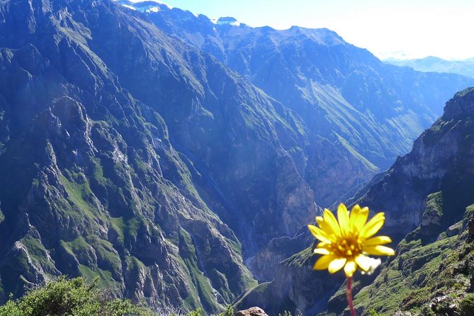 2 day 1 night trek / Colca Canyon - What to pack for the canyon