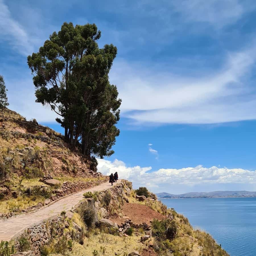 2-Day Amantani Island homestay overnight Tour from Puno - Who should book this homestay?