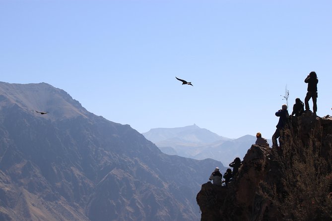 2-Day Colca Canyon, Vicuna Reserve and Condors from Arequipa - Is $191 a fair price?
