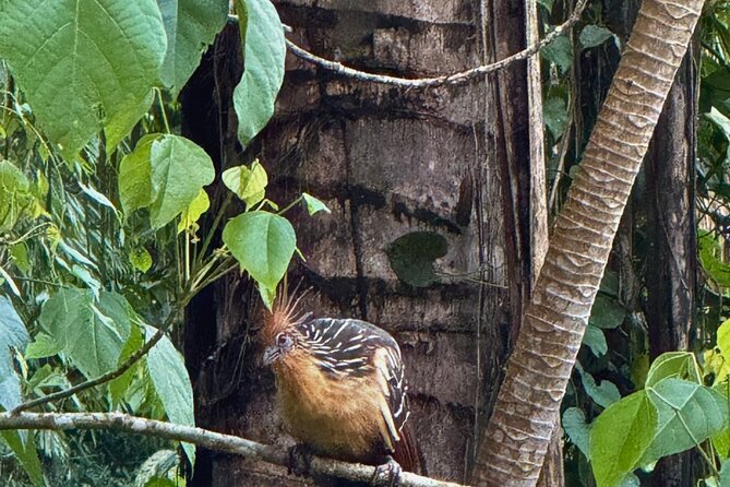 2 Day Manu National Park Tour to Explore the Amazon Biosphere - Leaving Cusco at 5:00 AM for Ninamarca