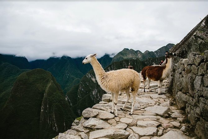 2-Day Short Inca Trail to Machu Picchu - Aguas Calientes overnight: useful, but not a full rest day