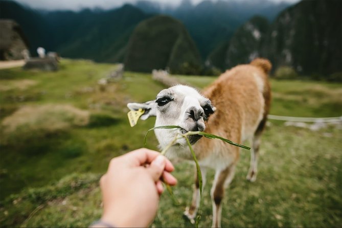 2-Day Short Inca Trail to Machu Picchu - Day two: the main Machu Picchu visit
