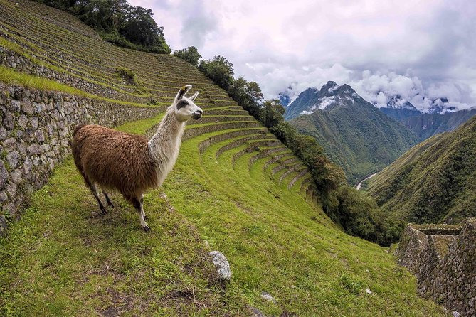 2-Day Short Inca Trail to Machu Picchu - What the $680 price really buys you
