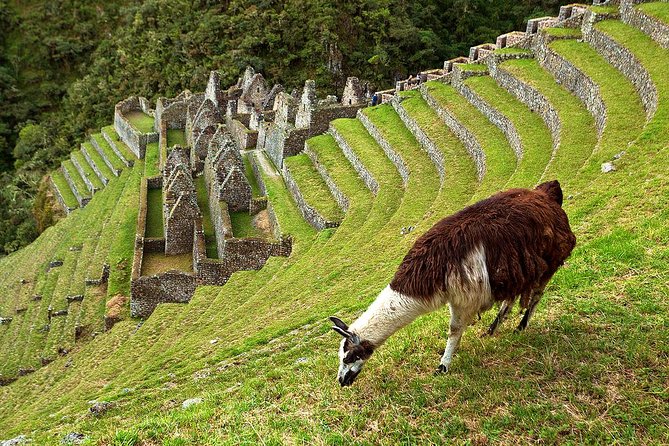 2 Day - Short Inca trail to Machu Picchu - Private Services - Sunrise at Machu Picchu at 5:40am