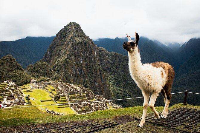 2-Day Short Inca Trail to Machu Picchu with Scenic Train - Aguas Calientes and the overnight stay