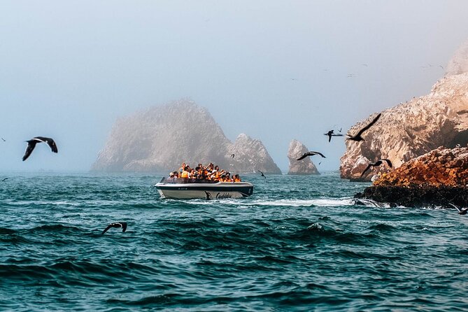 2 Day Tour from Lima: Paracas, Ballestas Island and Huacachina - Why this two-day route works from Lima