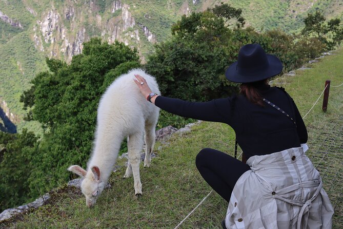 2-Day Tour of the Sacred Valley and Machu Picchu by Train - Choosing between Voyager and Vistadome 360°