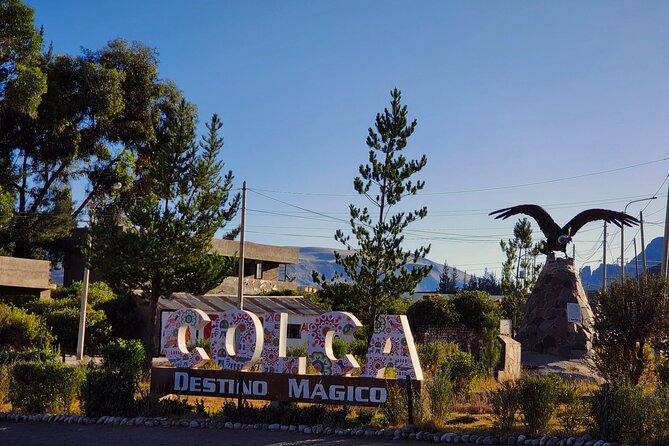 2 Day Tour to Colca Canyon - Salinas y Aguada Blanca and the wild vicuñas