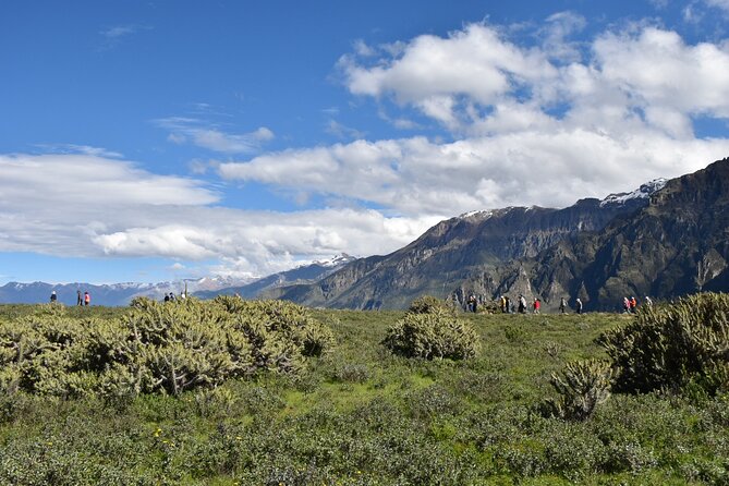 2-Day Tour to the Magical Colca Canyon - Cruz del Cóndor and the main canyon view