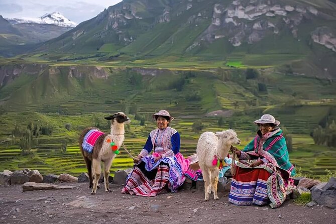 2-Day Tour to the Magical Colca Canyon - Pata Pampa and the 4,900-meter pause