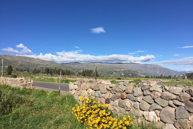 2 Day Trek Including Transfer to Puno / Colca Canyon - The 3:00 am start from Arequipa