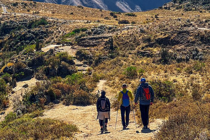 2 Days 1 Night trekking Through Colca Canyon, Private room - Descending Into the Canyon on Day One