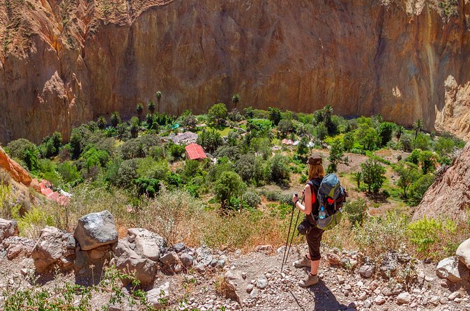 2 Days 1 Night trekking Through Colca Canyon, Private room - Cabanaconde, Maca, and Inca Terraces
