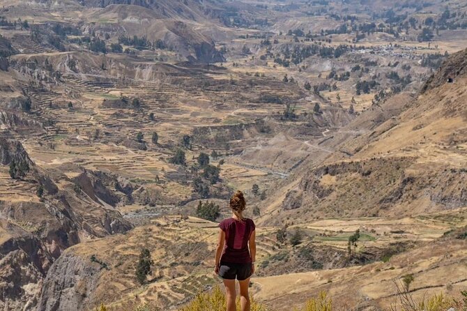 2 Days Colca Canyon Tour with Transfer to Puno - Key Points Before You Book