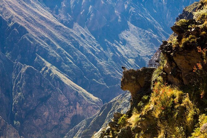 2 Days Colca Canyon Tour with Transfer to Puno - Patapampa, the Highest Point on the Colca Route