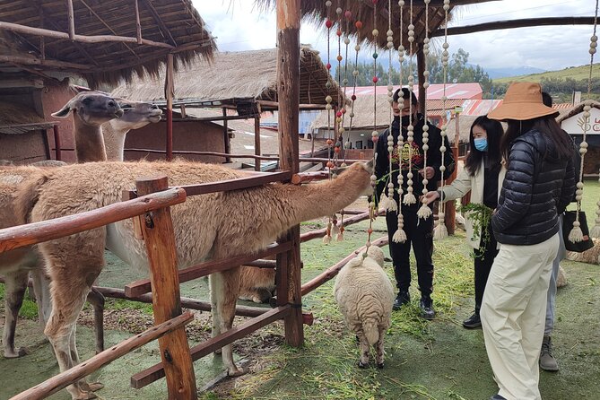 2 Days Sacred Valley Private Tour and Sunrise in Machu Picchu - Moray turns Inca agriculture into a giant experiment