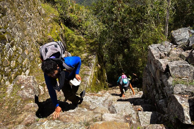 2 Days Shared Inca Trail to Machu Pichu - Day 2: entering Machu Picchu before the crowds