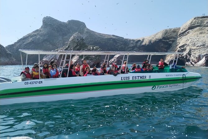 2-Hour Tour to the Ballestas Islands from Puerto San Martín - Setting out from Puerto San Martín at 9:00 a.m.