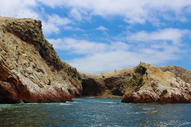 2-Hour Tour to the Ballestas Islands from Puerto San Martín - First stop: the Paracas Candelabra
