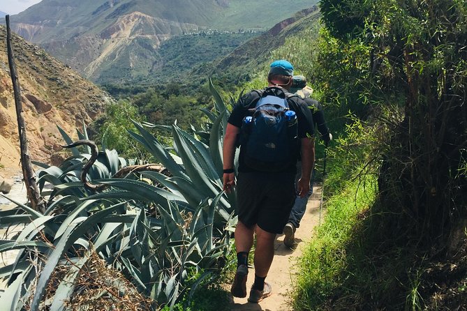 3 Day 2 Night Trek / Colca Canyon - Day three: the 5:00 am climb out