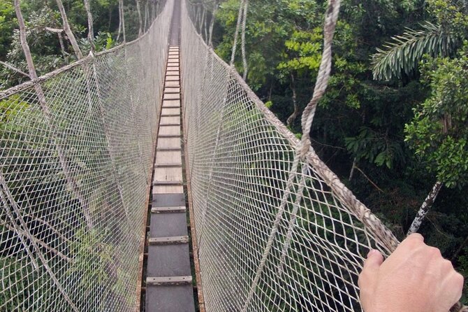 3-Day All Inclusive Guided Jungle Tour from Iquitos at Maniti Eco-Lodge - Is $459 a fair price?
