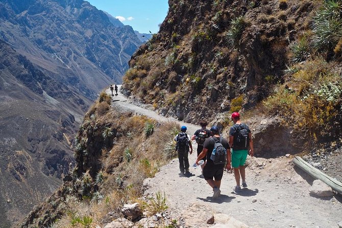 3-Day Backpacker Colca Canyon Trek from Arequipa - Key points to know before booking