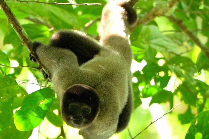 3-Day Eco-Sustainable Private Tour Manu National Park - Key points before you book