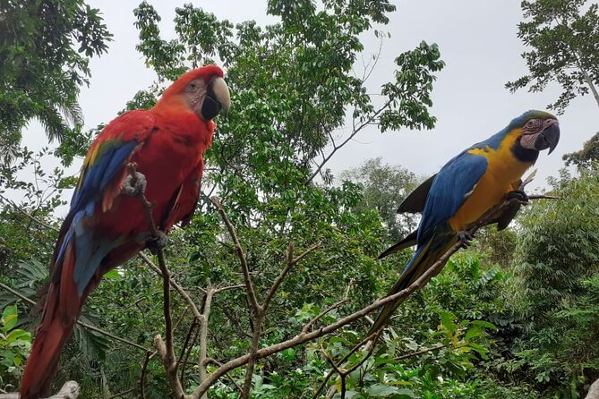 3-Day Eco-Sustainable Private Tour Manu National Park - Sustainability with practical limits