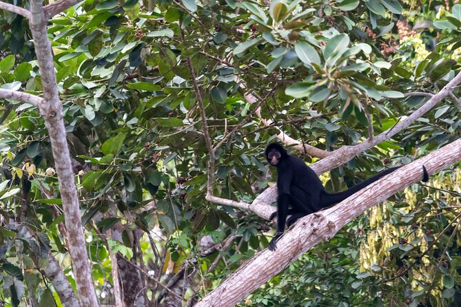 3-Day Eco-Sustainable Private Tour Manu National Park - Booking details worth knowing