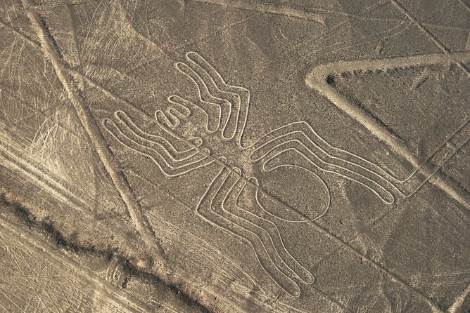 3 Day Tour from Lima: Nazca Lines Flight, Paracas, and Huacachina - Day two: penguins, desert shores, and the Paracas Reserve