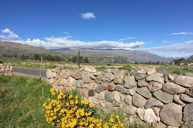 3 Day Trek Including Transfer to Puno / Colca Canyon - The 3:00 am start from Arequipa