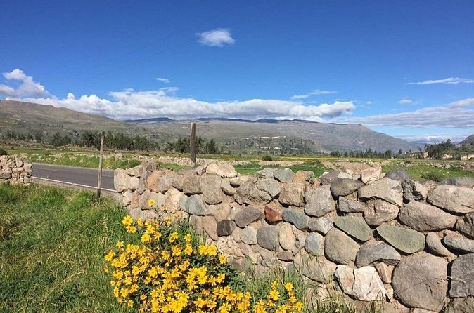 3 Day Trek Including Transfer to Puno / Colca Canyon - Day two: honey, old settlements, and Sangalle Oasis
