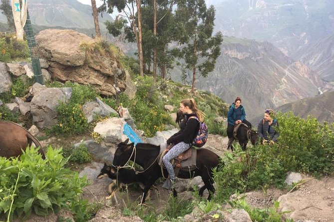 3 Day Trek Including Transfer to Puno / Colca Canyon - Chacapi hot springs and the road back