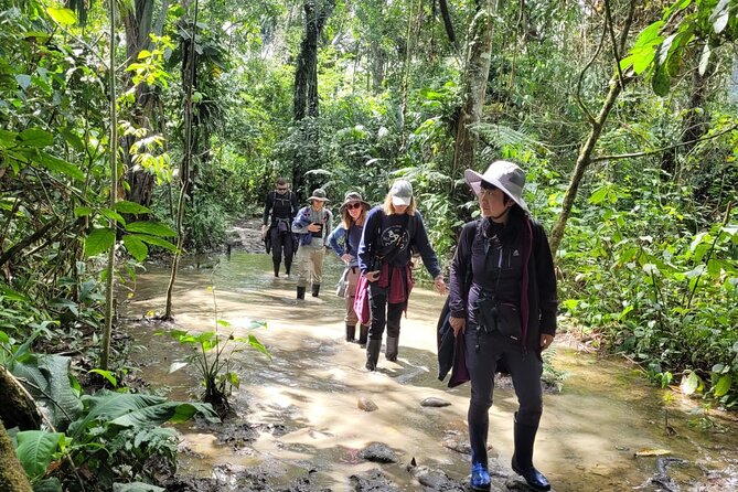 3 Days Amazon Jungle Tour in Manu Peru - The wildlife question: exciting, never guaranteed