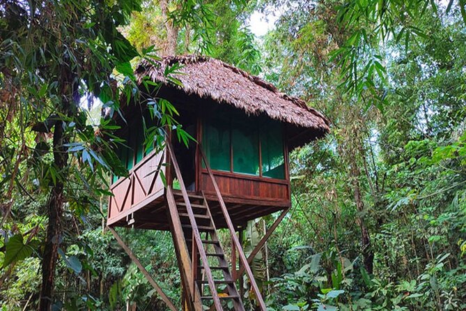 3 Days Guided Manu Jungle Tour from Cusco - Forest trails, river tubing, and an indigenous community