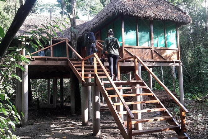3 Days Guided Manu Jungle Tour from Cusco - The long return to Cusco on day three
