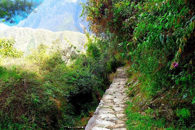 4-Day Classic Inca Trail to Machu Picchu - Day three: Ruins, cloud forest, and Wiñayhuayna