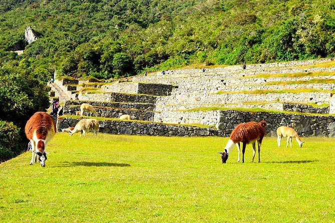 4-Day Classic Inca Trail to Machu Picchu - Day one: Km 82 to Wayllabamba