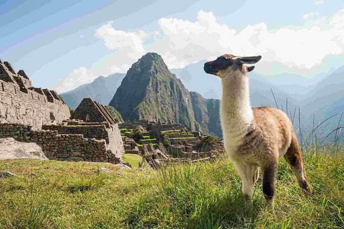 4-Day Excursion to MachuPicchu & Rainbow Mountain & City tour || All Included || - Key details to know before booking