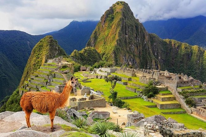 4-Day Excursion to MachuPicchu & Rainbow Mountain & City tour || All Included || - Day 4: A light finish in Cusco