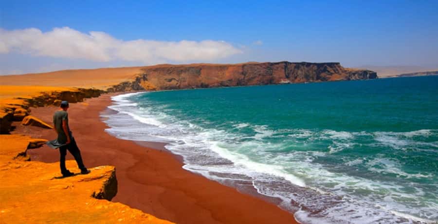 4 Day from Lima: Nazca Lines Flight, Paracas, and Huacachina - Day 4: Seeing the Nazca Lines from a small plane