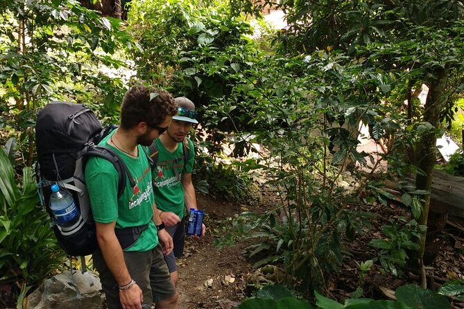 4-Day Inca Jungle Trail to Machu Picchu Hiking and Biking Tour - Guides make the difference