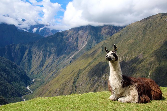 4 Day - Inca Trail to Machu Picchu - Group Service - Food, camps, porters, and the human side of the trek