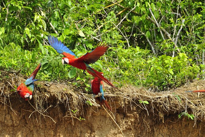 4-Day Private Tour to Manu National Park from Cusco - The people who shape the experience