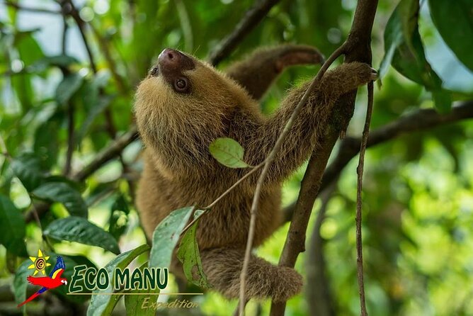 4-Day Private Tour to Manu National Park from Cusco - Boarding at Puerto de Atalaya