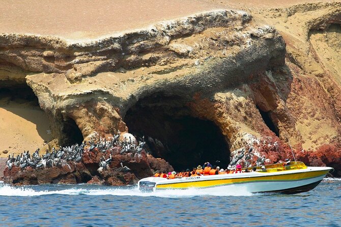 4 Day Tour from Lima: Nazca Lines Flight, Paracas, and Huacachina - Key points to know before booking